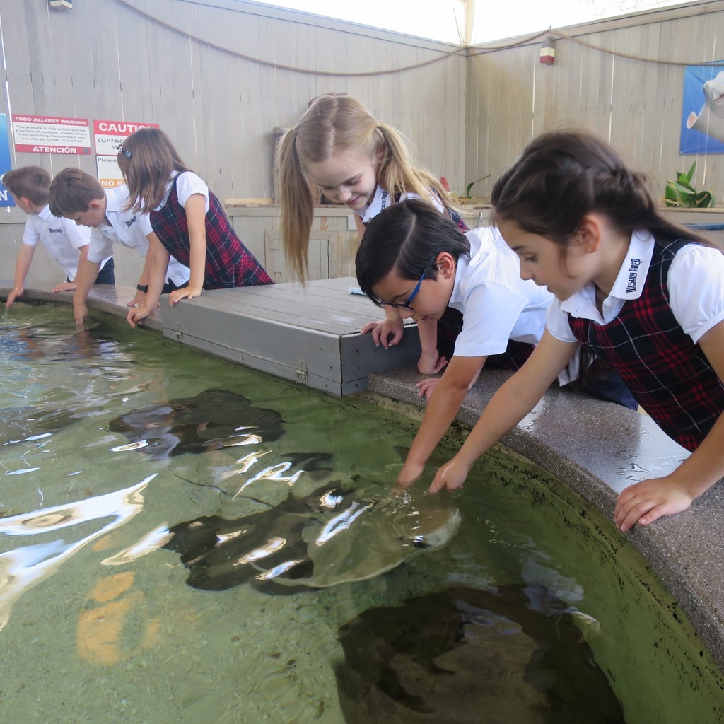 Primer Aquarium Trip