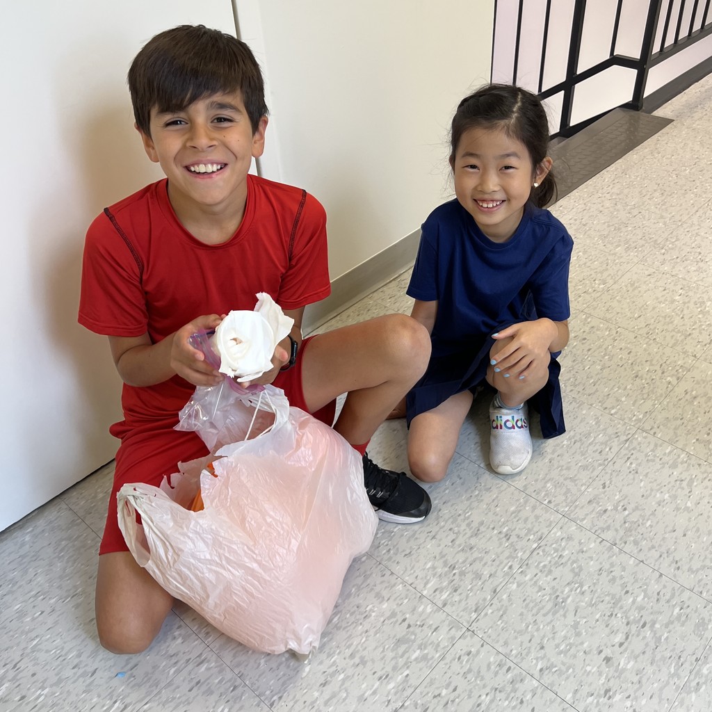 Egg Drop Challenge